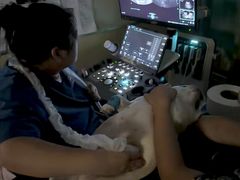 -康成宠物医院24H·CT·核磁共振