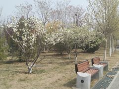 -水西公园