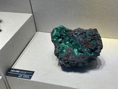 -河南自然博物馆