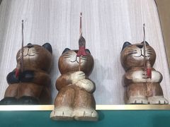 -飞行喵MR PILOT|猫舍·猫咖(静安大融城店)