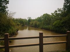 -上海海湾国家森林公园
