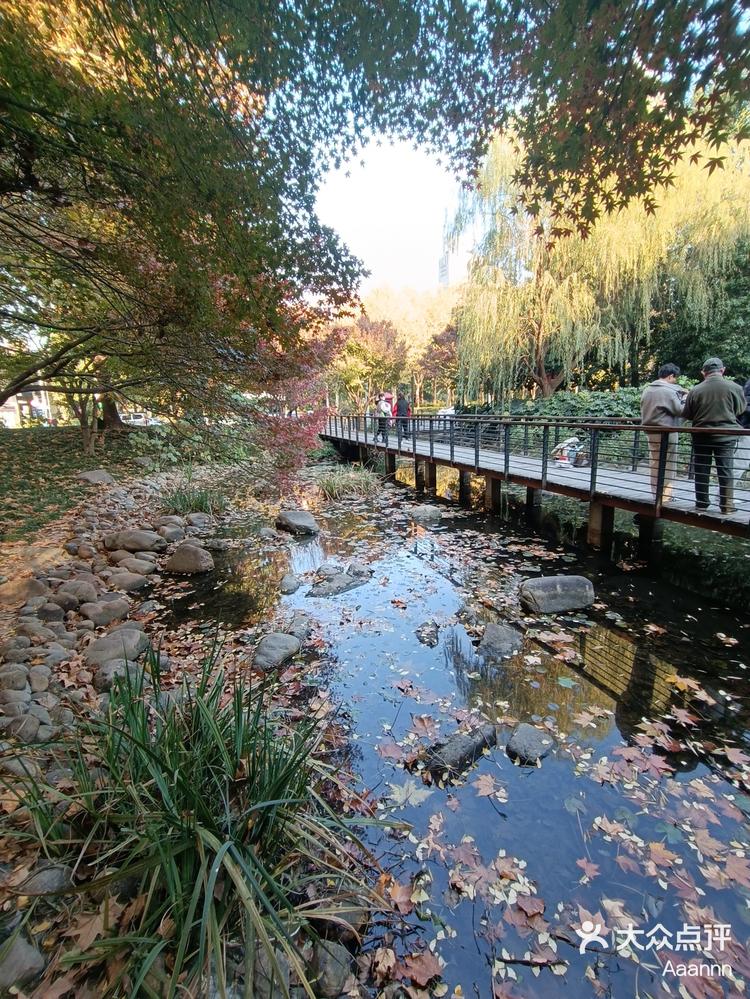 延中绿地秋色