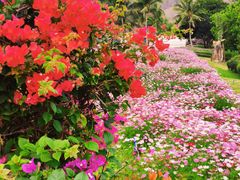 -三亚南山文化旅游区