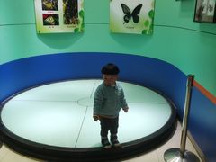 -上海昆虫博物馆