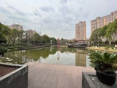 -陈家山荷花公园