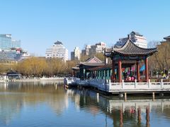 -莲花池公园