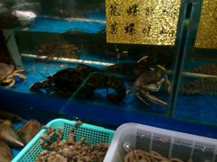 -海蓝海鲜馆(五四北店)
