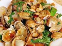 九层塔炒花蛤-乡亲鹅肉城(昆山店)