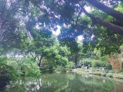 -成都市活水公园