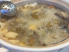 -爱膳菌锅锅(阳南店)