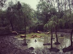 -溱湖国家湿地公园