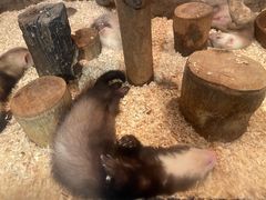 -成都浩海立方海洋公园