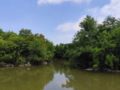 -上海吴淞炮台湾国家湿地公园