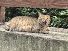 -杭州半山国家森林公园