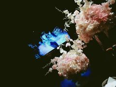 -黑桃K生日订制KTV