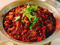 香辣美容蹄-乾园(天河城店)