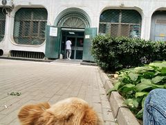 -北京赛佳动物医院