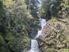 -石台牯牛降景区