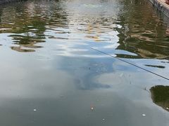 -DGE季风钓虾营地·团建·聚会