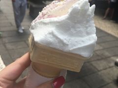 -柠檬车露(卖草地店)