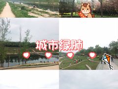 -洨河生态公园