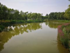 -东郊湿地公园