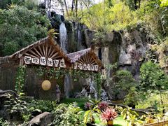 -西双版纳原始森林公园