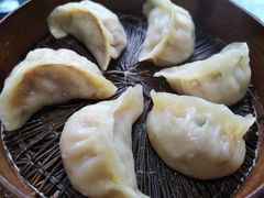 -陶乐舍本味蒸饺