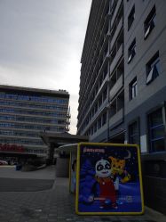 -首都医科大学附属北京儿童医院