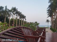 -三亚海棠湾万丽度假酒店