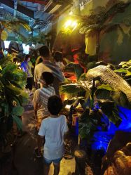 -恐龙探索乐园(磁器口店)