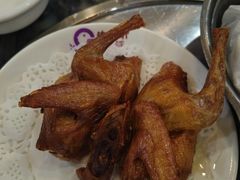 -鸽鸟轩(石岐店)