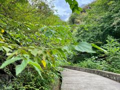 -北京上方山国家森林公园