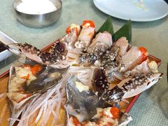 -渔娘渔家丹东海鲜(东直门店)
