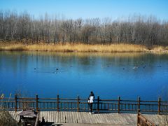 -淇河国家湿地公园