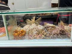 -辽B·小串(总店)