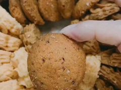 -珍妮曲奇聪明小熊(尖沙咀店)