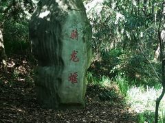 -上海佘山国家森林公园天马山园