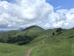 -大姆山草场