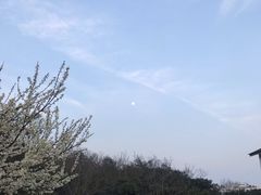 -太湖好灶头土菜馆(石公路店)