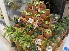 -天虹购物中心(深圳龙华店)