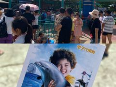 -秦皇岛乐岛海洋王国