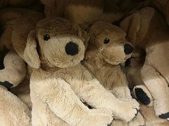 -宜家家居(哈尔滨商场店)