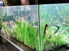 -渔寿司·日本料理(艾尚天地店)