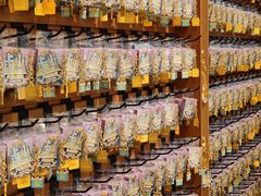 -三生有信(豫园商城店)