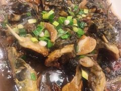 红烧海朋友鱼-侬佳蒸菜馆(听潮店)