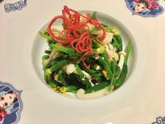 凉拌黄瓜苗-映像徐州(滨湖店)