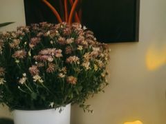 -Lazy Time Massage南亚按摩小馆(大悦城店)