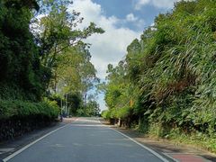 -火炉山森林公园