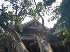-晋祠公园